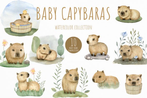 Adorable Watercolor Capybaras Illustrations for Creative Projects