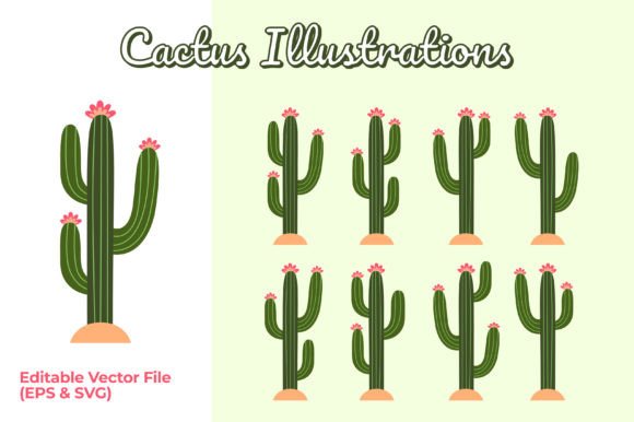 Beautiful Cactus Illustrations: Set of Cactus with Flowers
