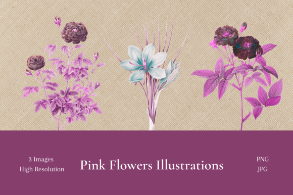 Enchanting Pink Flower Illustrations for Creative Projects