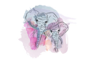 Watercolor Elephant Illustrations: Hand-Drawn Vector Charm